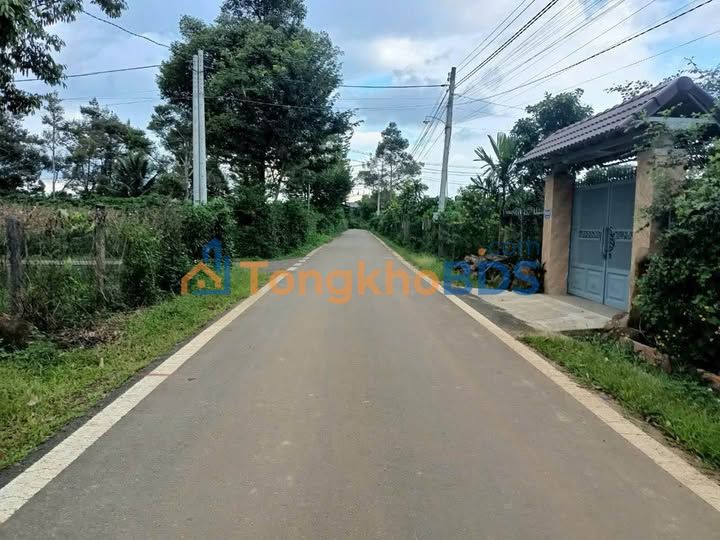 Đất nền Trần Hưng Đạo Đà Lạt 98m² giá 1.399 tỷ - Đất thổ cư 100%