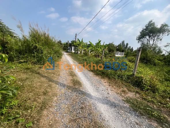 Đất vườn Bình Mỹ Củ Chi 552m² giá 2.15 tỷ - Nghỉ dưỡng lý tưởng!