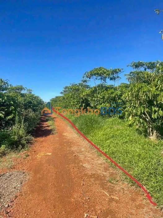 Đất vườn Phường 1 Bảo Lộc 1440m² 4.3 tỷ - Vị trí đẹp tiềm năng