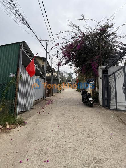 Nhà riêng Đặng Thái Thân Đà Lạt 140m² giá 4,2 tỷ - Giá tốt!