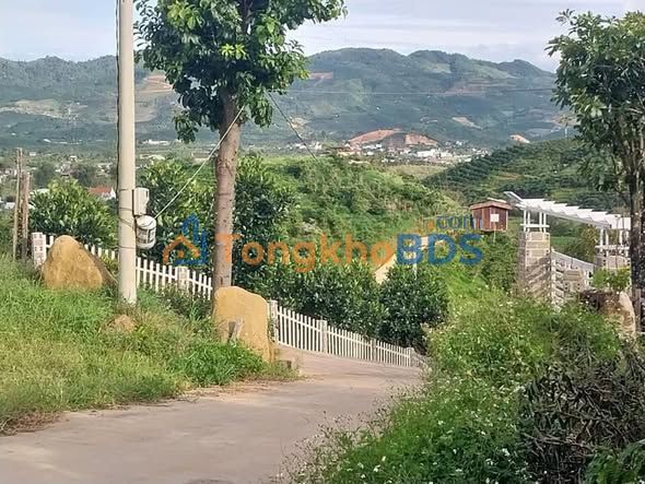 Đất 612m² Lộc Châu, Bảo Lộc 1.2 tỷ - Sổ hồng sẵn