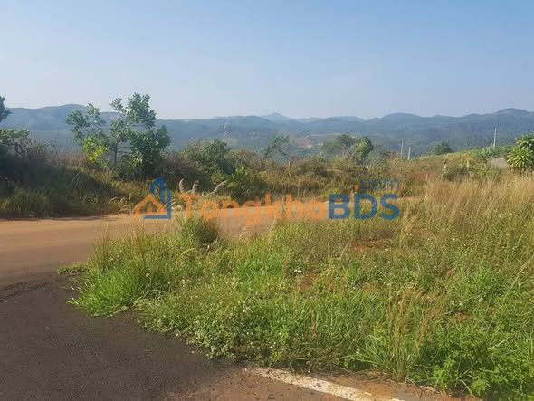 Đất nền Phường 2 Bảo Lộc 195m² giá 1.1 tỷ - Đường to ô tô, tiềm năng tăng giá!