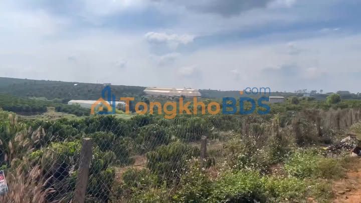Đất vườn Tân Hà Lâm Hà 1476m² - Đầu tư dài hạn tiềm năng