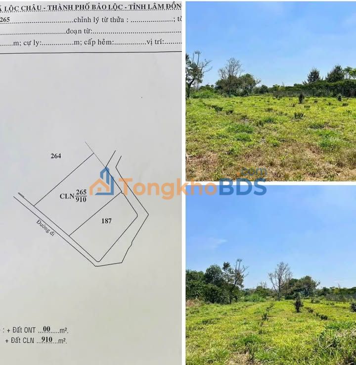 Đất vườn Lộc Châu Bảo Lộc 910m² giá 950 triệu - Đường ô tô vào tận nơi!