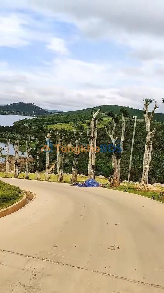 Đất nền Lộc Đức Bảo Lộc 558m² giá 1.2 tỷ - Tiềm năng lớn