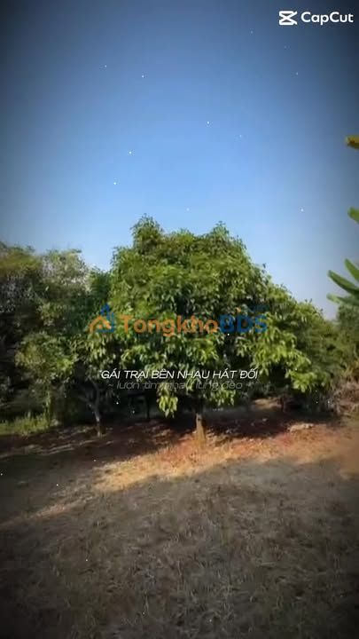 Đất vườn Bình Lộc Bảo Lộc 500m² giá 890 triệu - Nghỉ dưỡng lý tưởng!