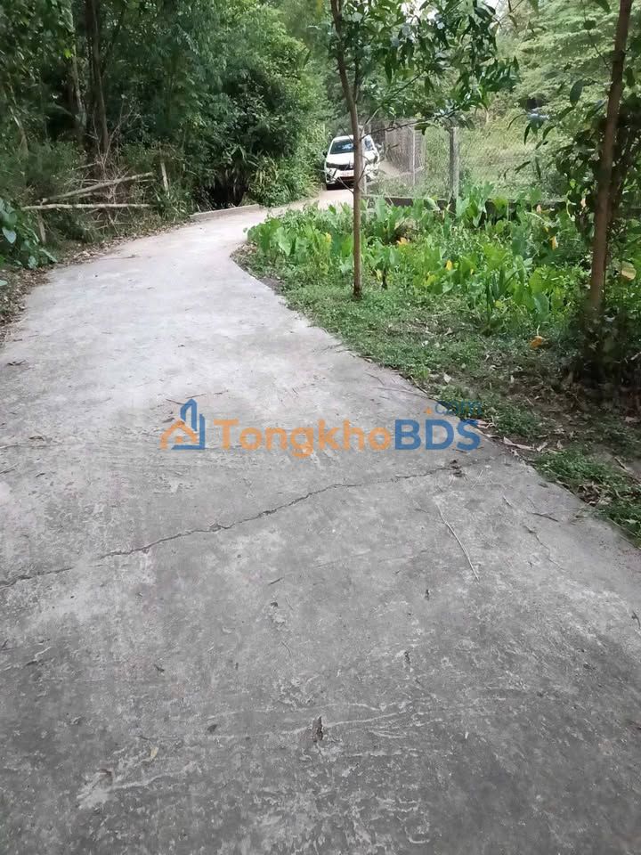 Đất vườn Tam Thăng 400m² giá 1 tỷ - Tiềm năng tăng giá cực cao