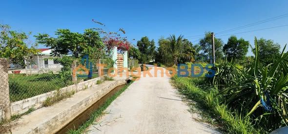 Đất 1200m² thôn Ninh Thuận, Hàm Liêm - Ô tô tới đất