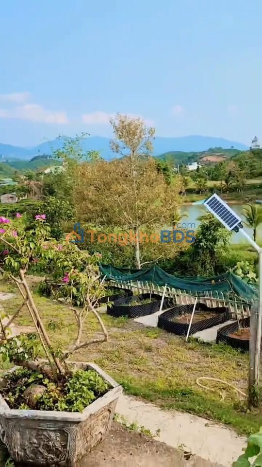 Đất vườn Lộc Châu Bảo Lộc 432m² 900 triệu - Nghỉ dưỡng lý tưởng