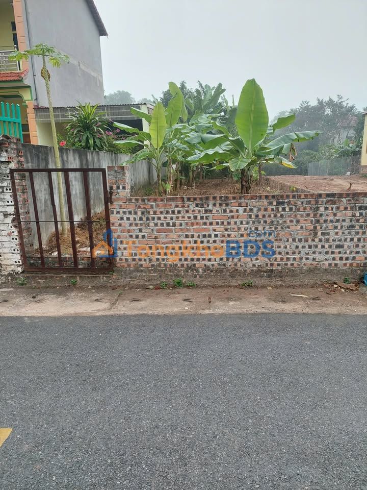 Đất nền Mai Yên Yên Lạc 203m² giá 2.9 tỷ - Sổ đỏ chính chủ
