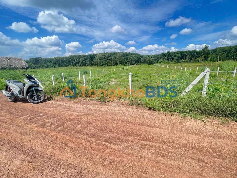 Đất nền Đồng Phú Bình Phước 2000m² 195 triệu - Sổ đỏ chính chủ