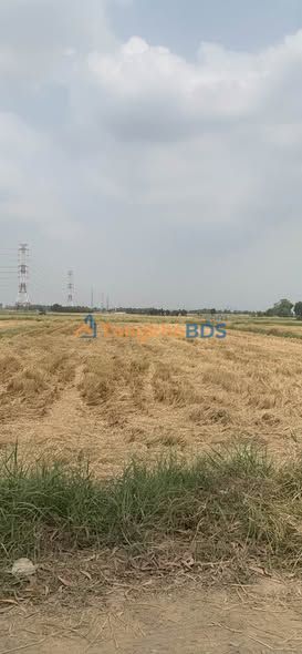 Đất vườn Củ Chi 1655m² gần Vành Đai 3 - Nghỉ dưỡng lý tưởng