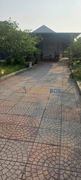 Nhà vườn An Phú Củ Chi 993m² giá 4.7 tỷ - Nghỉ dưỡng lý tưởng!