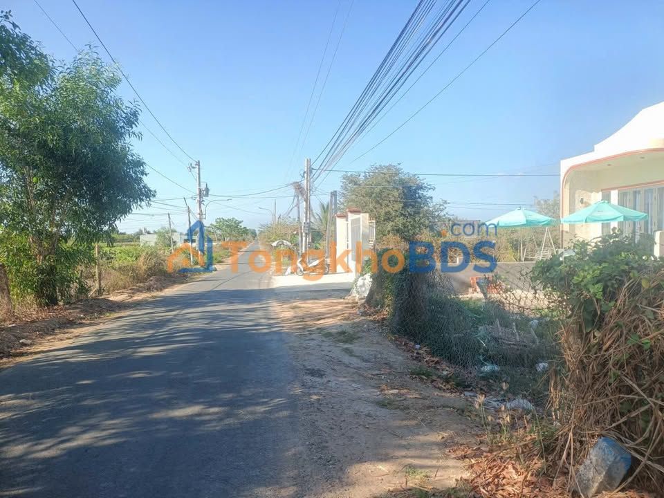 Đất nền Hàm Liêm Phan Thiết 720m² - 650 triệu - Giá tốt hiếm có!
