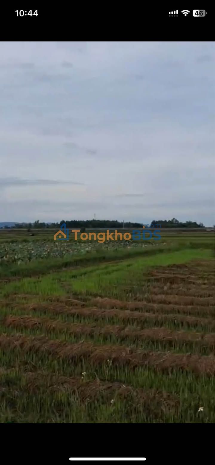 Đất nền Bình Chánh Thăng Bình 200m² giá 2xx triệu - Sổ hồng chính chủ