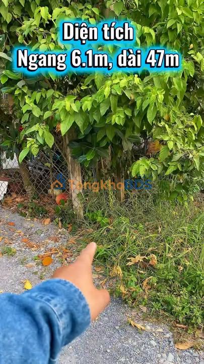 Đất nền Củ Chi 287m² giá 3.1 tỷ - Đất thổ cư 100%