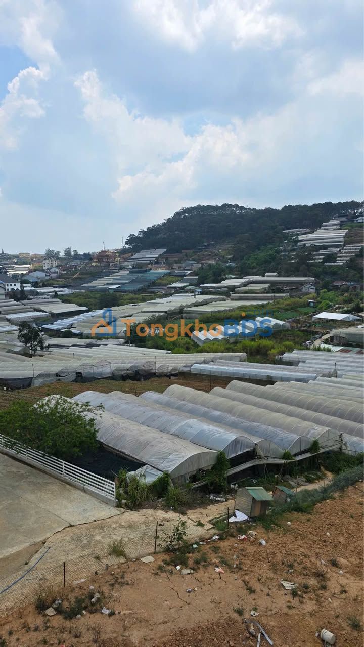 Nhà phố Phường 3 Đà Lạt 75m² giá 4.8 tỷ - Vị trí đẹp!