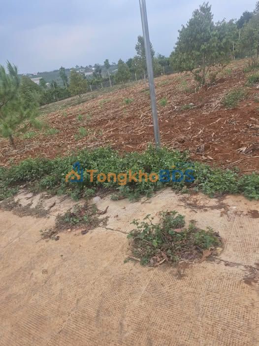 Đất nền Tân Hà, Lâm Hà 120m² giá 620 triệu - Sổ đỏ chính chủ