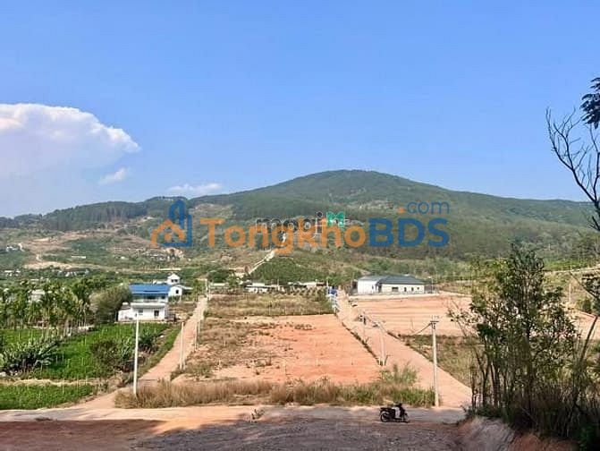 Đất Nam Ban Lâm Hà 300m² 1,15 tỷ - 2 mặt tiền