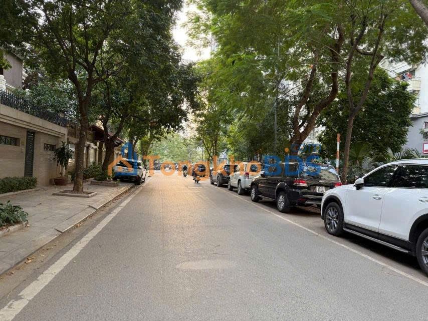 Biệt thự KĐT Dịch Vọng Cầu Giấy 310m² 90 tỷ - Vị trí đẹp đẳng cấp