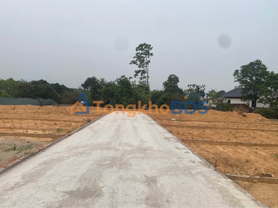 Đất nền Thái Hòa Lập Thạch 100m² giá 300 triệu - Giá đầu tư tốt!