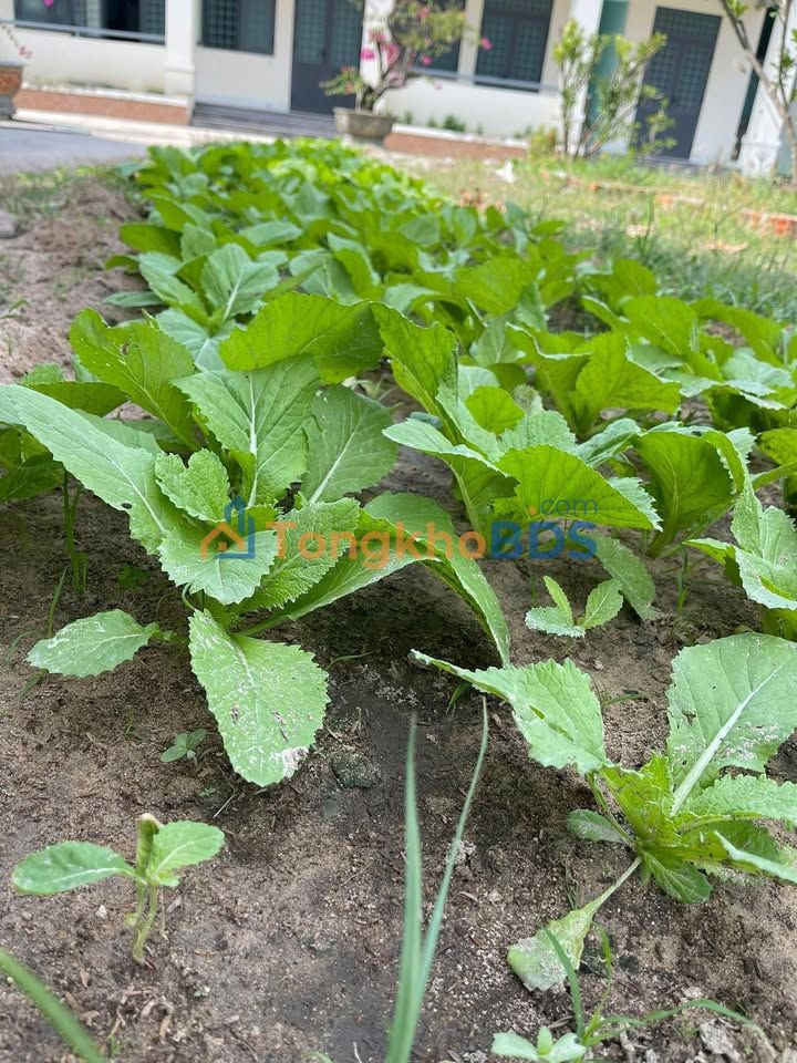 Đất nền Ma Lâm 200m² giá 760 triệu - Sổ đỏ chính chủ thổ cư 100%