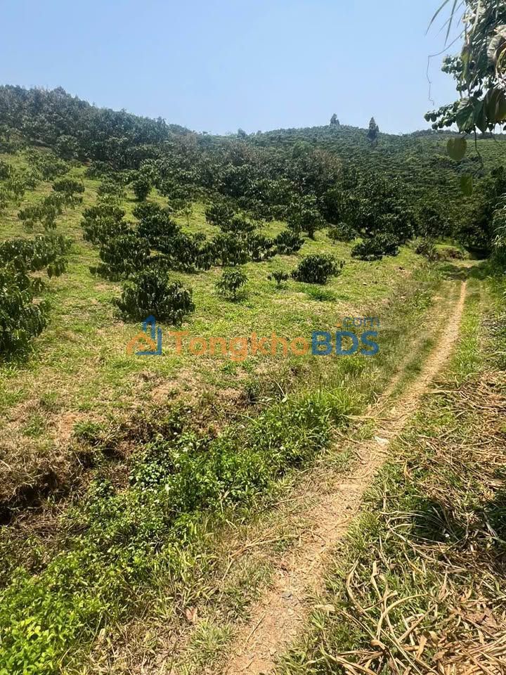 Đất vườn Lộc Thành 1440m² giá 1.6 tỷ - Nghỉ dưỡng lý tưởng
