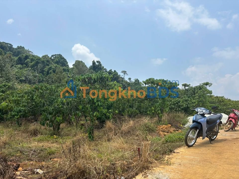Đất vườn Lộc Bắc 1.5ha mặt tiền 200m - Giá 4.5 tỷ sổ hồng
