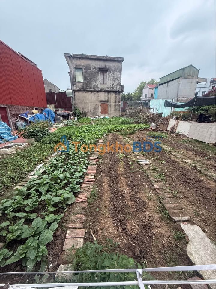 Đất nền Phù Khê Từ Sơn 60.8m² giá 1 tỷ - Sổ đỏ chính chủ