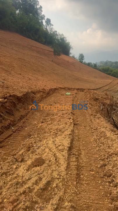 Đất nền xã Tân Thanh 20.000m² giá 1.45 tỷ - Sổ đỏ chính chủ