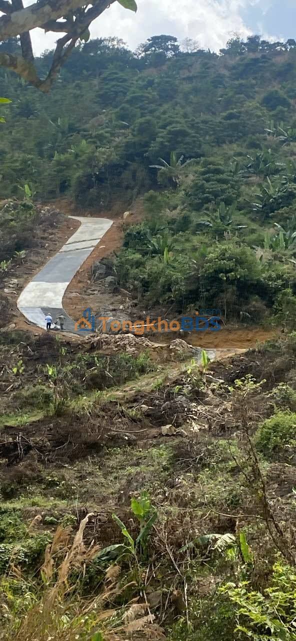 Đất vườn Lộc Thành Bảo Lâm 1000m² - Nghỉ dưỡng lý tưởng, view săn mây!