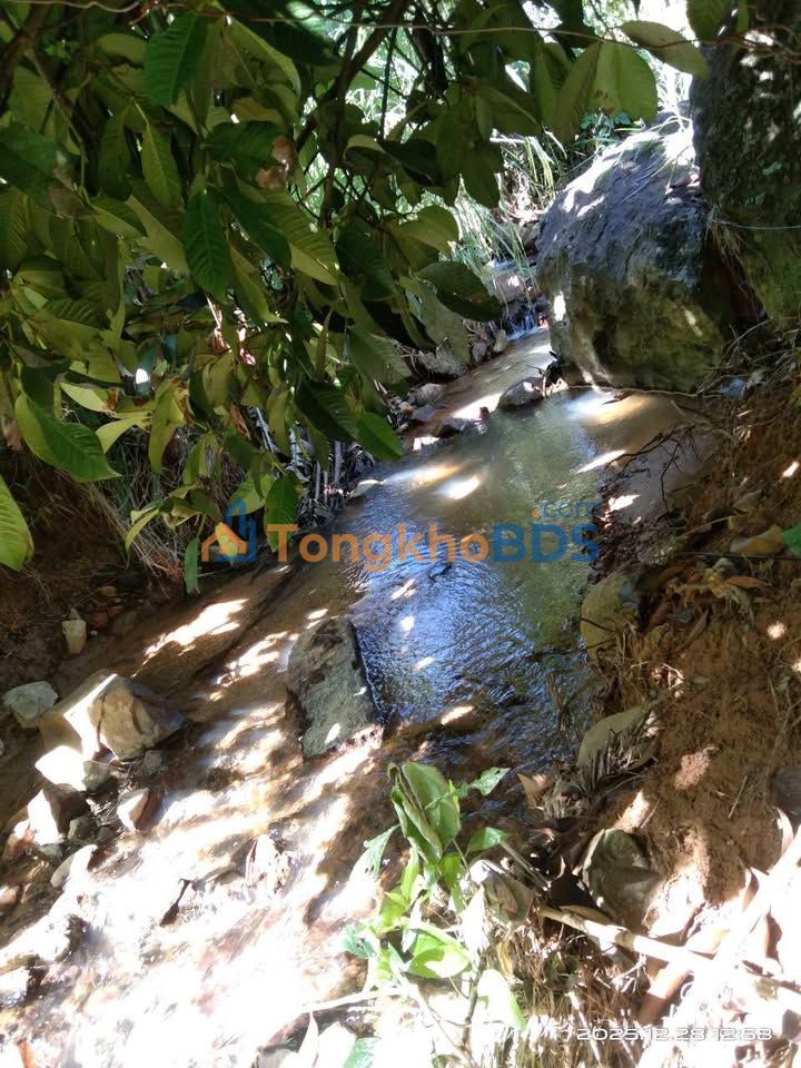 Đất nghỉ dưỡng Lộc Thành 1.670m² ôm suối - Đầu tư sinh lời tốt