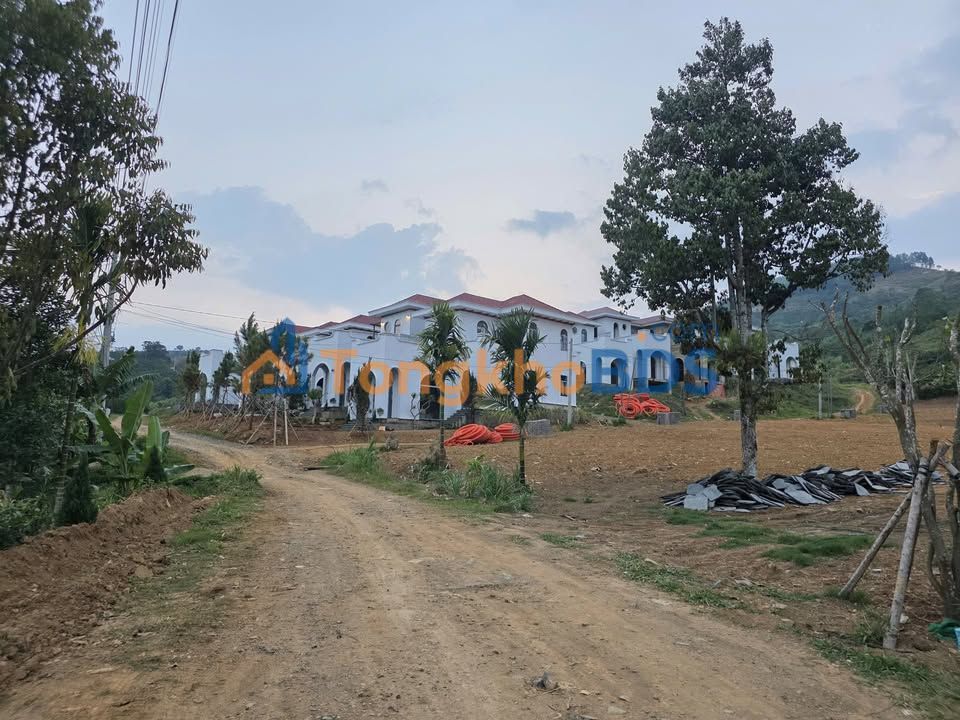 Đất vườn Bảo Lâm 1675m² giá 2,8 tỷ - Nghỉ dưỡng lý tưởng!