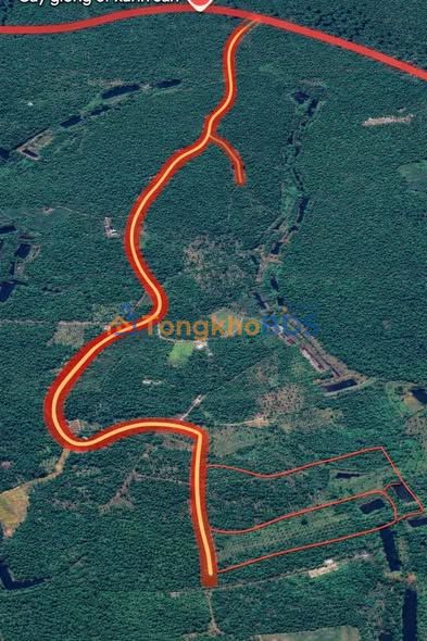 Đất Vườn Lộc Thắng Bảo Lâm 1.4ha giá 3.8 tỷ - Đầu tư dài hạn!