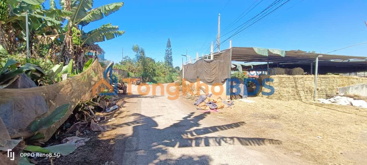 Đất vườn Tu Tra Đơn Dương 6 sào 6 tỷ - Tiềm năng tăng giá cao