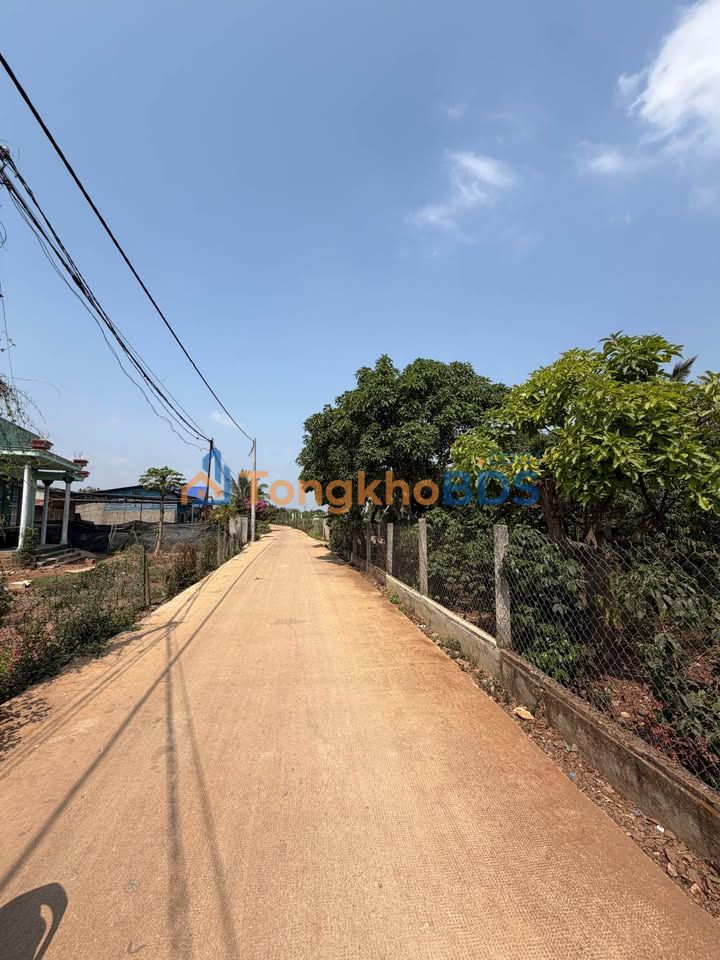 Đất nền Phú Hội Đức Trọng 2000m² giá 4.1 tỷ - Tiềm năng tăng giá