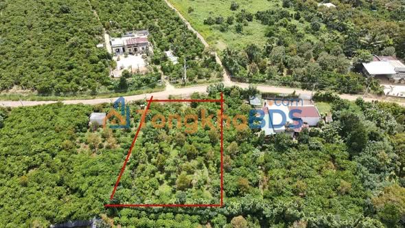 Đất nền Lộc An Bảo Lâm 1050m² giá 2.6 tỷ - Sổ đỏ chính chủ