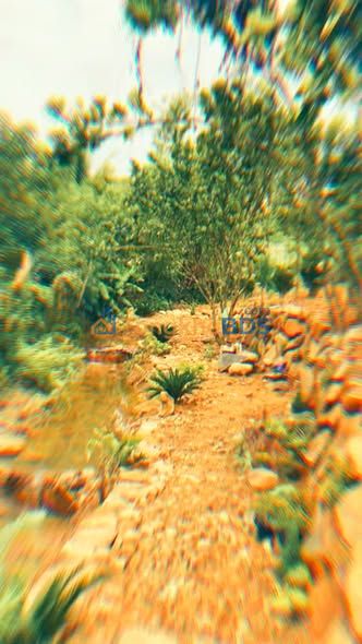 Đất vườn Lộc Thành Bảo Lâm 1600m² giá 2.8 tỷ - Nghỉ dưỡng lý tưởng!