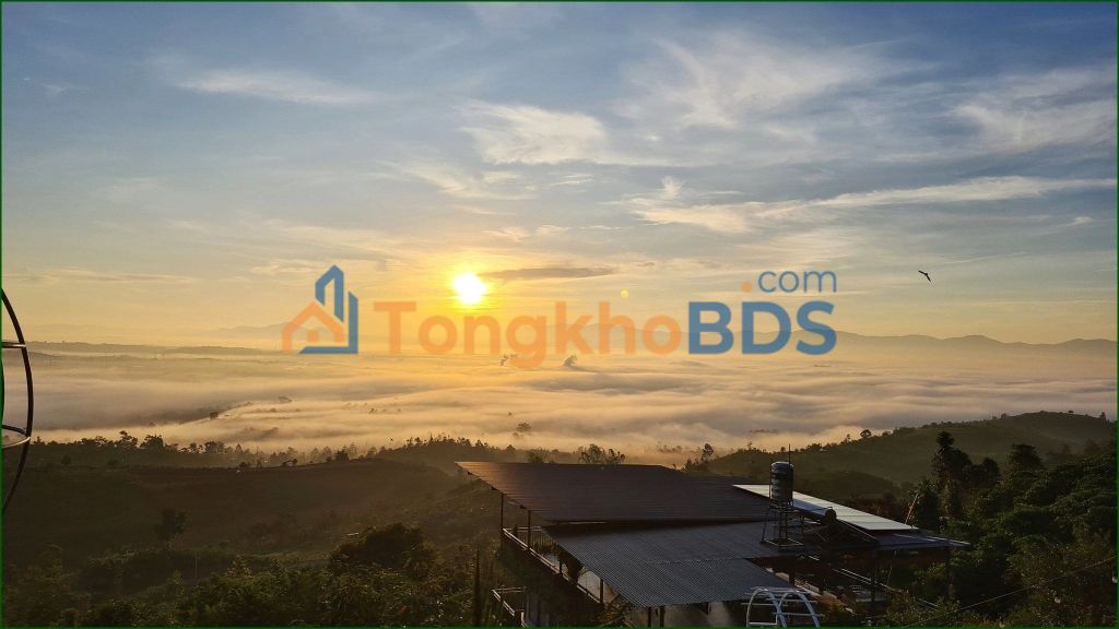 Đất săn mây Đại Bình Bảo Lâm 1.800m² từ 2,2 tỷ - Đường bê tông