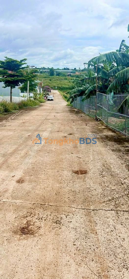 Đất Nền Đường Lê Hồng Phong, Đức Trọng 165m² - Sổ Đỏ Chính Chủ