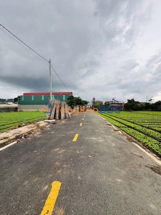 Đất Phú Hội, Đức Trọng 145m² giá 890 triệu - Đường nhựa 8m