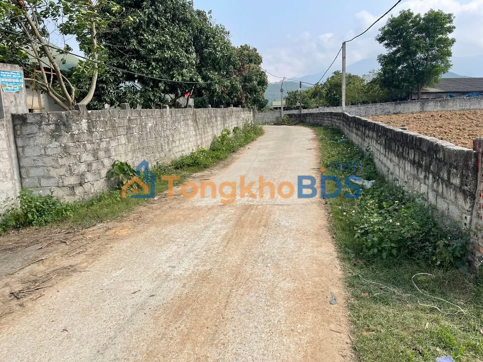 Đất vườn Tam Đảo 1600m² giá 1 tỷ - Tiềm năng tăng giá