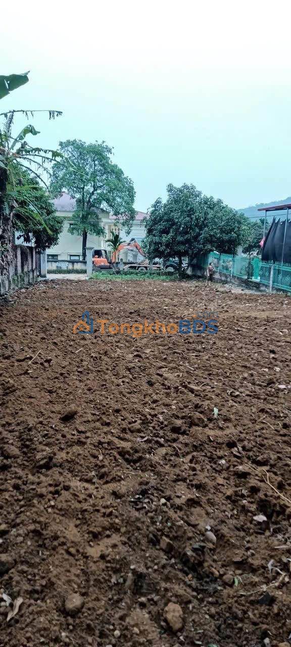 Đất nền Ngọc Mỹ Lập Thạch 600m² giá 2.3 tỷ - Tiềm năng tăng giá cao