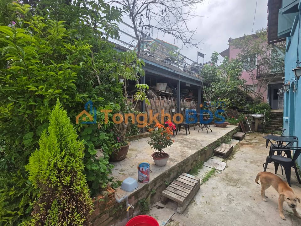 Villa Phường 8 Đà Lạt 1000m² giá 25 triệu - Đẳng cấp nghỉ dưỡng