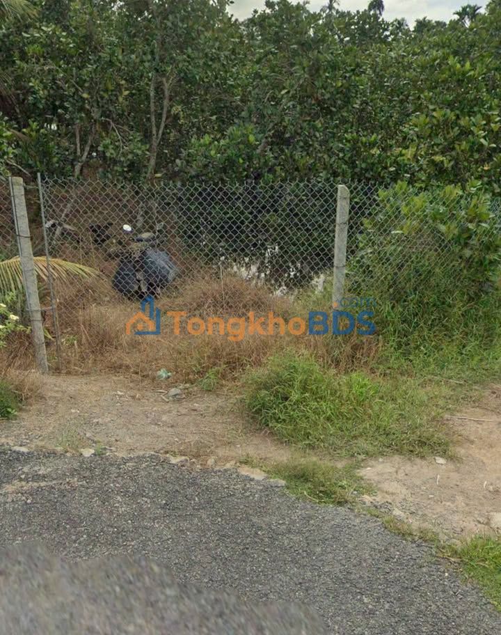 Đất vườn Đông Thành 11.000m² - Hạ tầng hoàn thiện