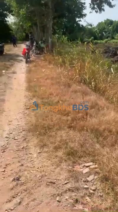 Đất ruộng Long Thắng Lai Vung 40.000m² - Giá thuê tốt