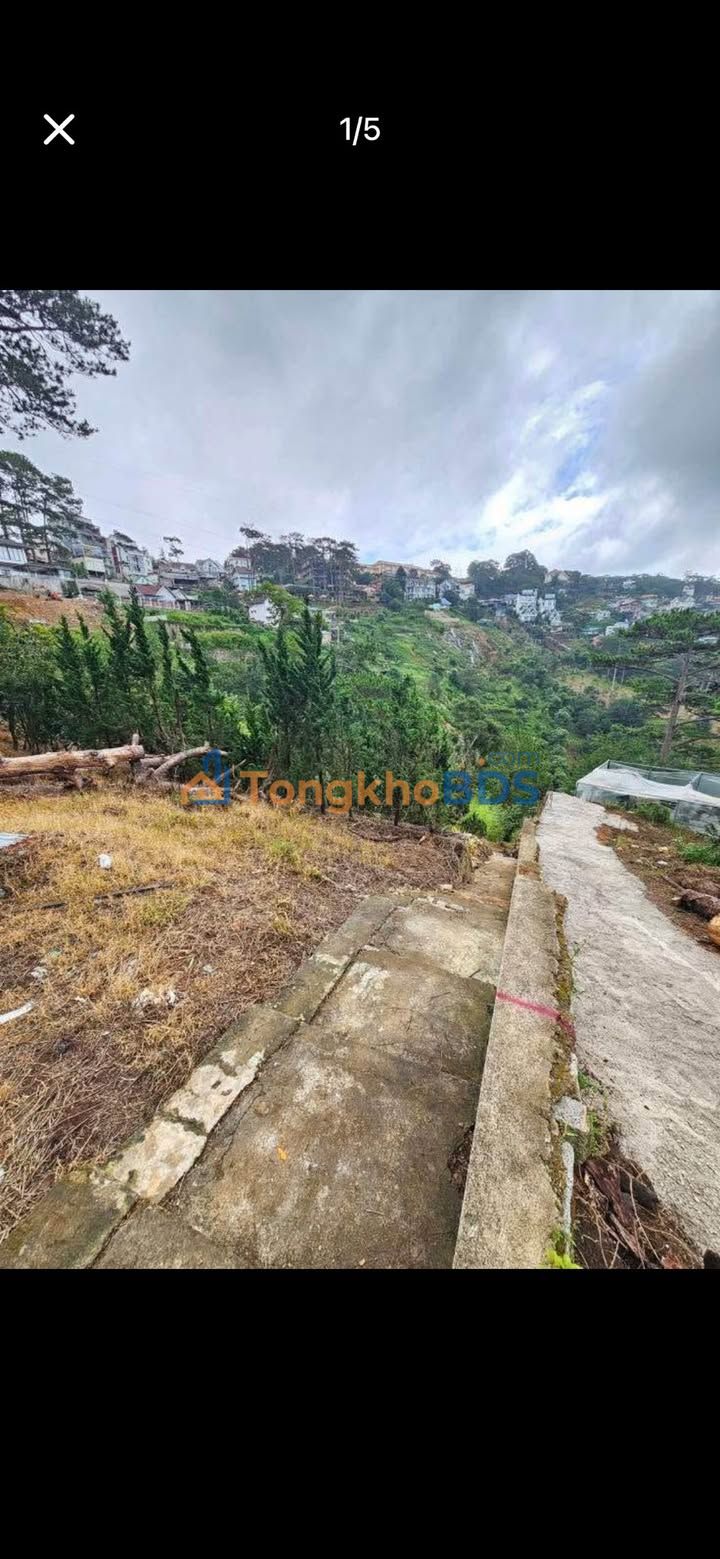 Đất thuê Hoàng Hoa Thám Đà Lạt 1.500m² - Vị trí đẹp