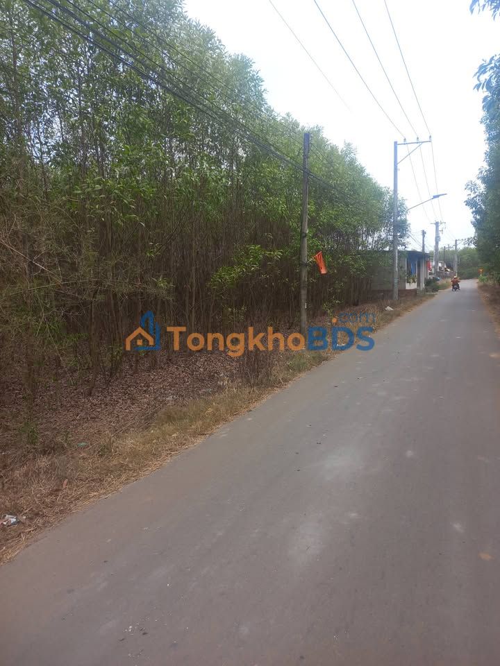 Đất vườn Long An Long Thành 3.496m² - Tiềm năng tăng giá cực cao!