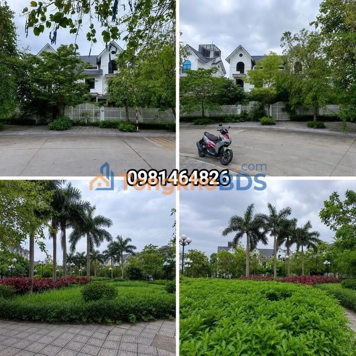 Biệt thự Geleximco Lê Trọng Tấn 240m² - Giá cắt lỗ cực tốt