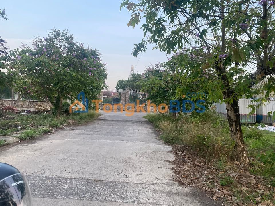 Đất nền 100m² tại An Viễn, Trảng Bom - Sổ hồng sẵn, giá tốt đầu tư